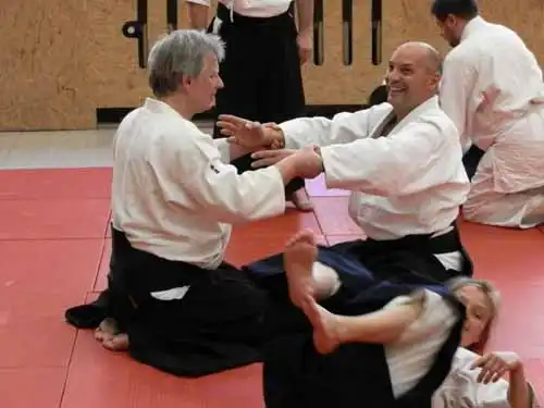 Aikido seminar in Berlin 2012.